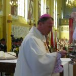 JPIIDOBRE067