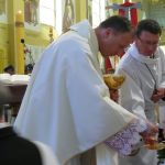 JPIIDOBRE089