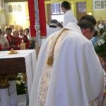 JPIIDOBRE091