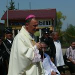 JPIIDOBRE229
